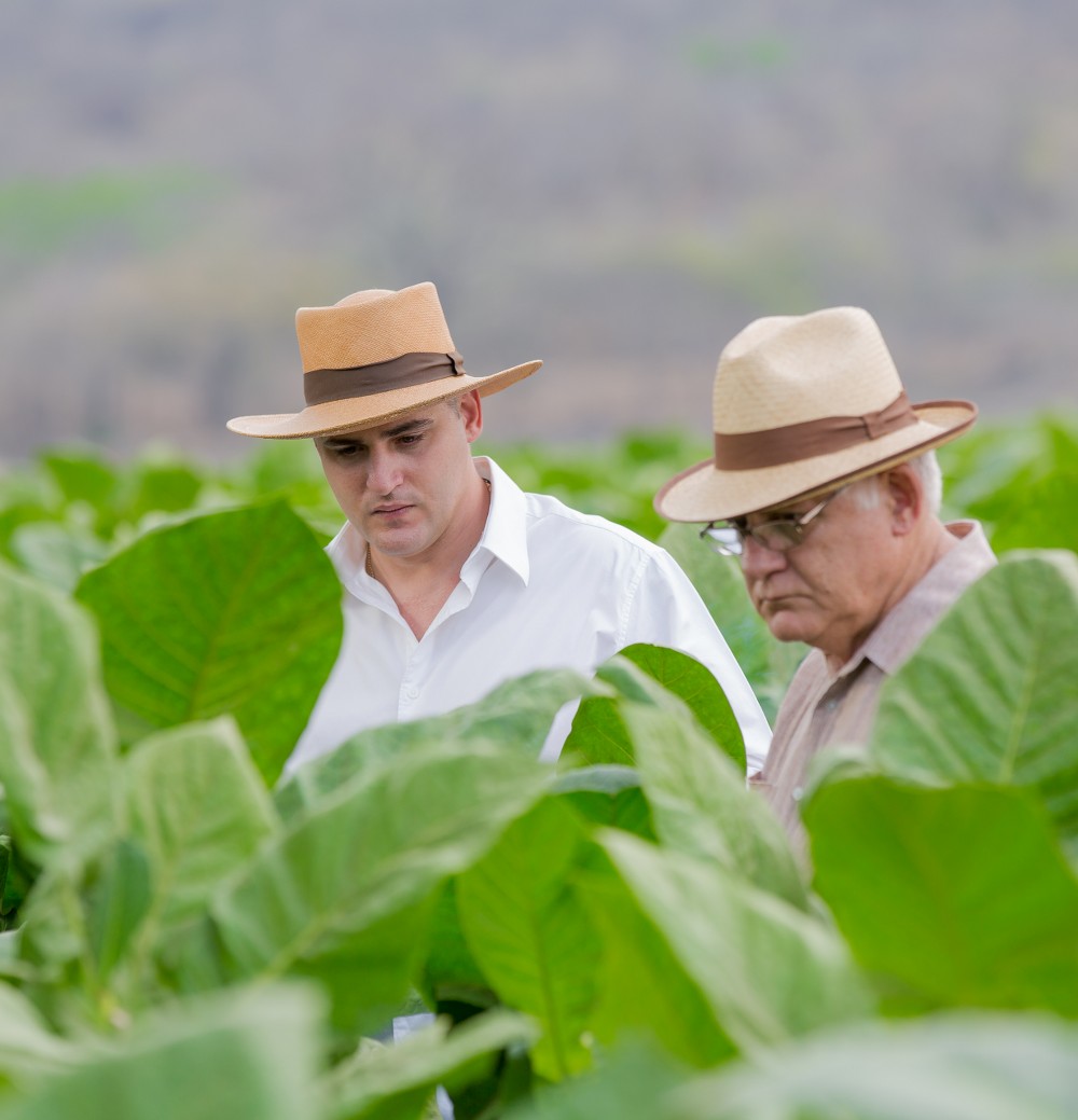 Dorado Farm